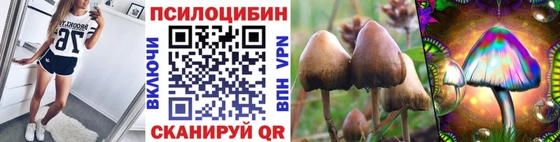 Галлюциногенные грибы Psilocybe  продажа наркотиков  Осинники 