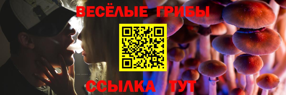 Псилоцибиновые грибы мухоморы Осинники